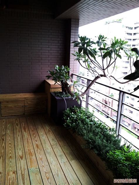 一房二窗 適合陽台的樹